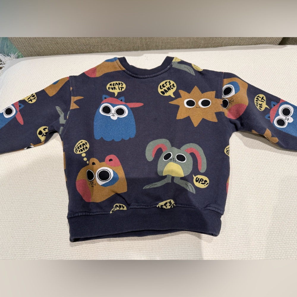 Zara Navy Graphic Sweatshirt
